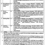CM Punjab Asan Karobar Finance New Jobs 2025