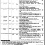 Danish School Tounsa and Mankera Jobs 2025