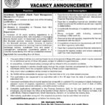 Finance Department Govt. of Sindh New Jobs 2025