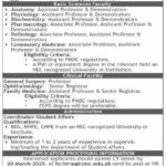 Jinnah Medical & Dental College JMDC New Jobs 2025