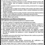 Lahore Electric Supply Company (LESCO) Chief Internal Auditor New Jobs 2025