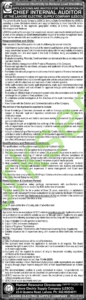 Lahore Electric Supply Company (LESCO) Chief Internal Auditor New Jobs 2025