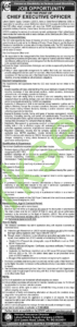 Lahore Electric Supply Company (LESCO) New Jobs 2025 for Cheif Executive Officer