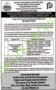 Punjab Urban Land System New Jobs 2025 for Consultant