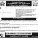 Cantt Public Girls High School Jobs 2025
