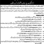 District Food Controller Jhang Jobs 2025
