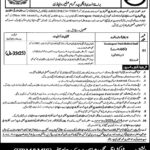 District Health Authority DHA Rawalpindi Jobs 2025