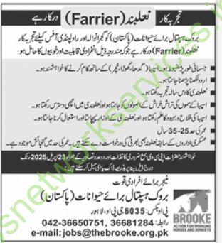 Farrier Jobs in Brooke Hospital Lahore