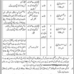 Government Institute Jobs 2025 Apply Online