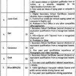 Kohsar University Murree KUM Jobs 2025 Wal in Interviews