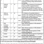 Labour & Human Resource Department Jobs 2025