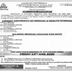 Liaquat University LU Jobs 2025