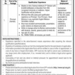 Overseas Pakistanis Foundation (OPF) – Job Opportunity 2025