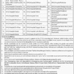 Project Managment & Implementation Unit PMIU Jobs 2025