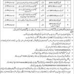 Security Staaf Jobs 2025 in WAPDA Pakistan