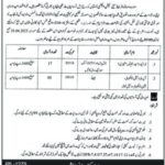 WASSA Multan Jobs 2025