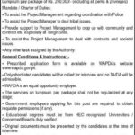Wapda Jobs 2025 for Security Expert