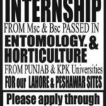Internship Opportunity Announcement