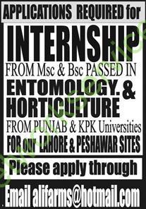 Internship Opportunity Announcement