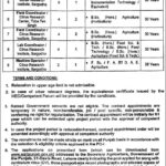 Ayub Agriculture Research Institute Jobs 2025 – Citrus Project Vacancies