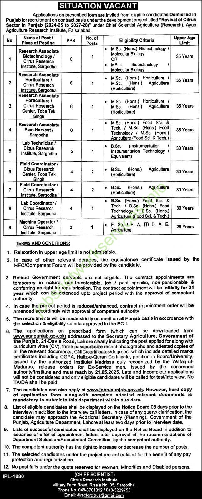 Ayub Agriculture Research Institute Jobs 2025 – Citrus Project Vacancies