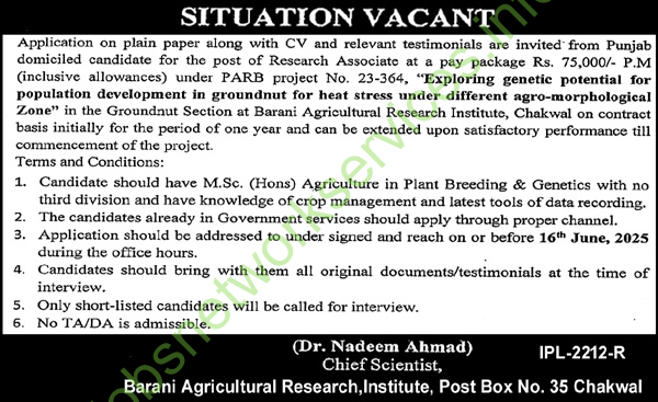 Barani Agricultural Research Institute BARI Jobs 2025