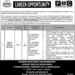 Career Opportunity at Punjab Mineral Company (Pvt.) Limited (PMC)