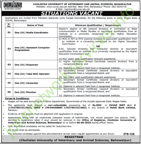 Cholistan University of Veterinary and Animal Sciences Bahawalpur Jobs 2025