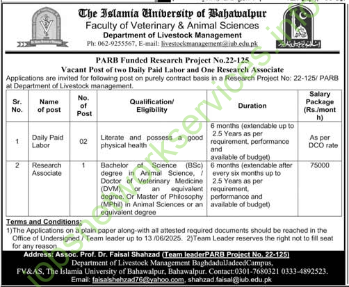 Islamia University of Bahawalpur IUB Jobs 2025