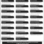 Career Opportunity: Join CPEC Secretariat for CPEC 2.0 Development