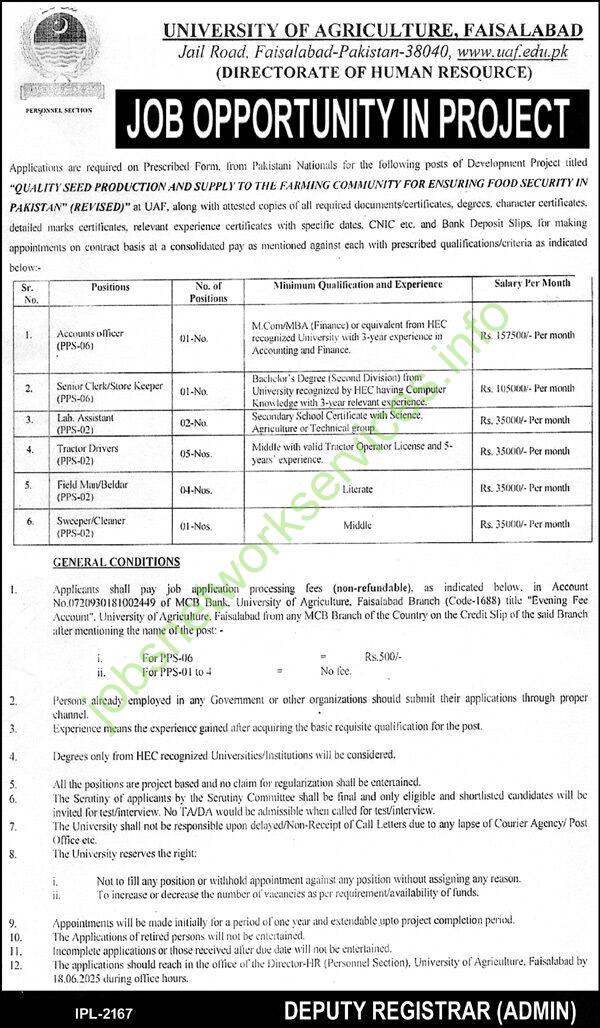 University of Agriculture Faisalabad Jobs 2025 Latest UAF Jobs