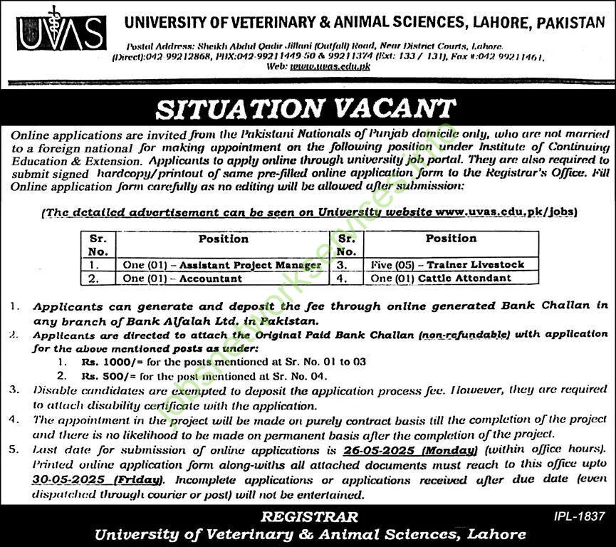 University of Veterinary & Animal Sciences UVAS Lahore Jobs 2025