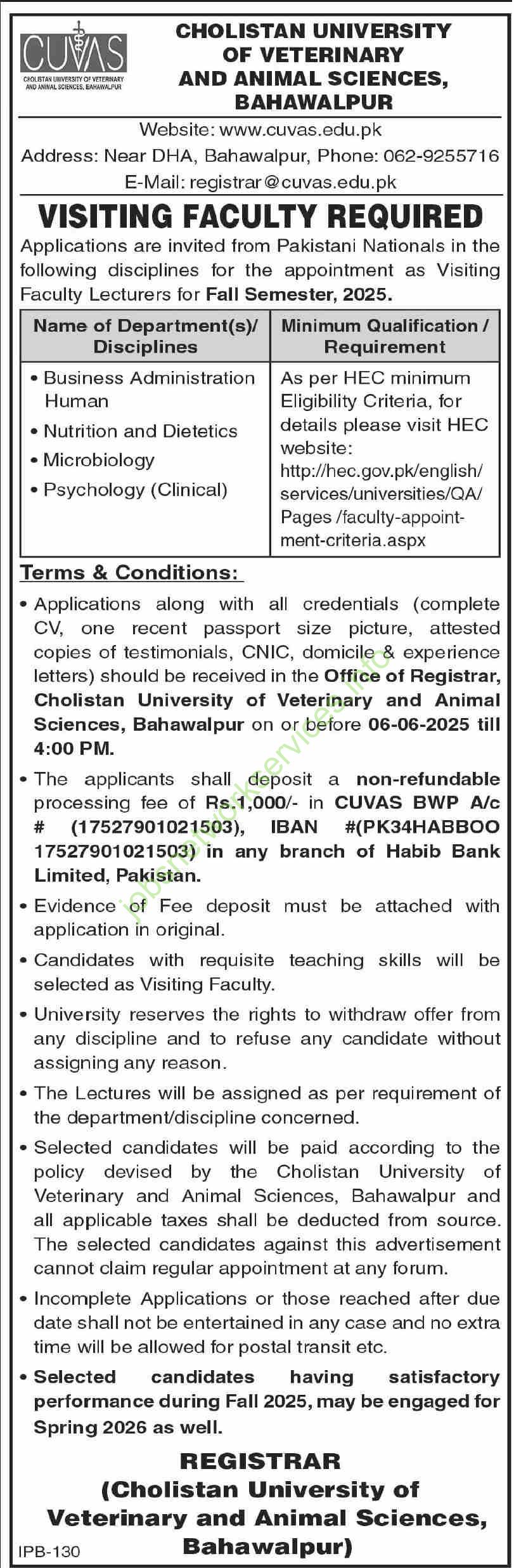 Visiting Faculty Jobs 2025 at Cholistan University of Veterinary and Animal Sciences Bahawalpur