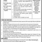 OPF Jobs 2025 – Principal Positions in Larkana, D.I.Khan & Pakpattan – Apply Now