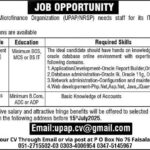 Microfinance Organization Jobs 2025: IT & Accounts Positions – Management Trainee & Accounts Staff – Apply Now