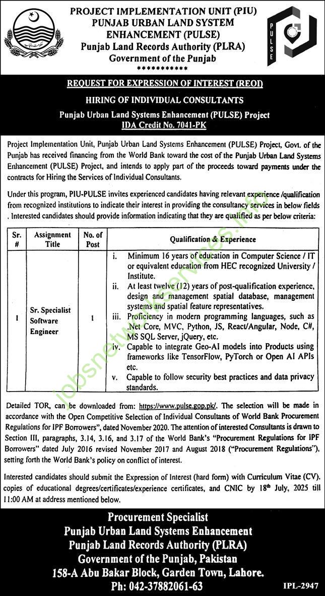 Punjab Urban Land Systems Enhancement (PULSE) Jobs 2025 for Project Advertisement