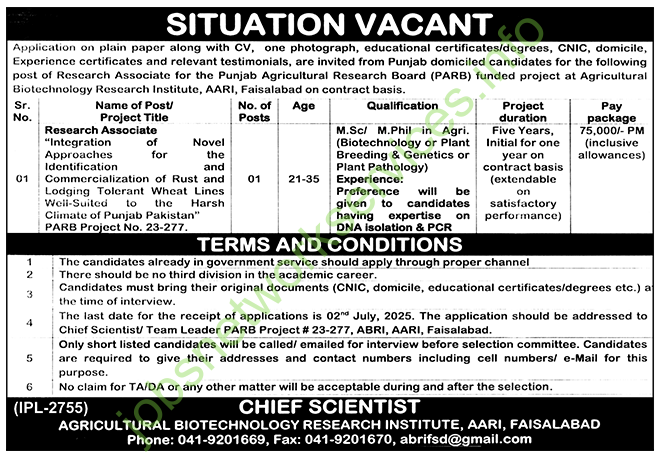 AARI Faisalabad Research Associate Jobs 2025