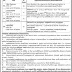 Bacha Khan University Charsadda Jobs 2025 – Site Engineer, Accountant, Quantity Surveyor & More