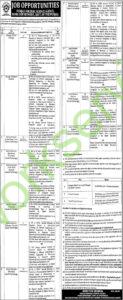 Punjab Forensic Science Agency, Home Department, Government of Punjab Jobs 2025