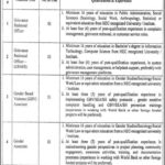 Punjab Urban Land Systems Enhancement (PULSE) Project job openings (2025)