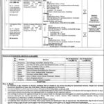 Punjab Enforcement & Regulatory Authority (PERA) Jobs 2025 Online Apply Now