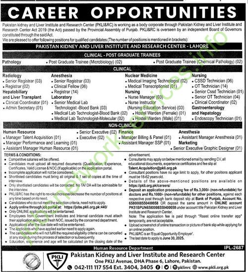 Pakistan Kidney and Liver Institute and Research Center PKLI Jobs 2025