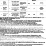 Punjab Masstransit Authority PMA Jobs 2025 Online Apply Now