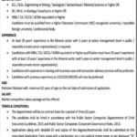 Punjab Mineral Company (PMC) CEO Job Advertisement 2025