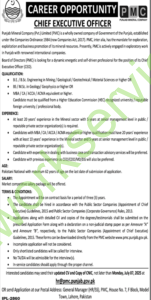 Punjab Mineral Company (PMC) CEO Job Advertisement 2025