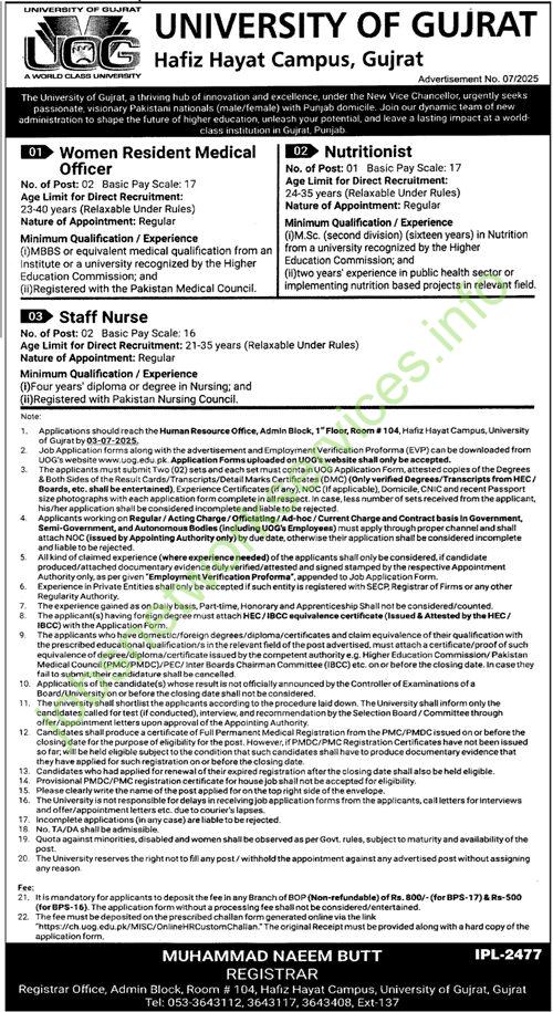 University of Gujrat Jobs 2025