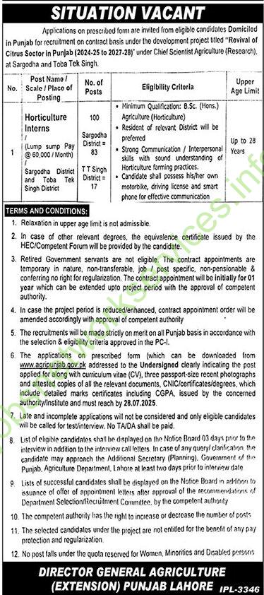 Director General Agriculture Extension Punjab Lahore Jobs 2025 for 100 Internship Jobs