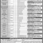 University of Southern Punjab, Multan Announces Faculty and Staff Positions