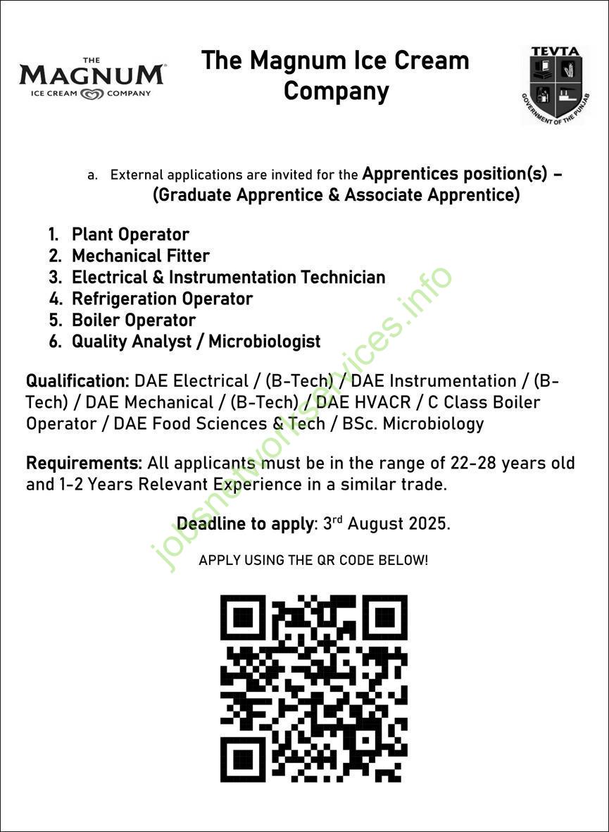 The Magnum Ice Cream Company Jobs 2025