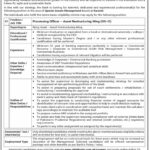 National Bank of Pakistan NBP New Jobs 2025
